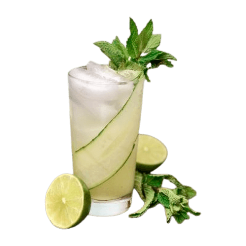 CO.MOJITO